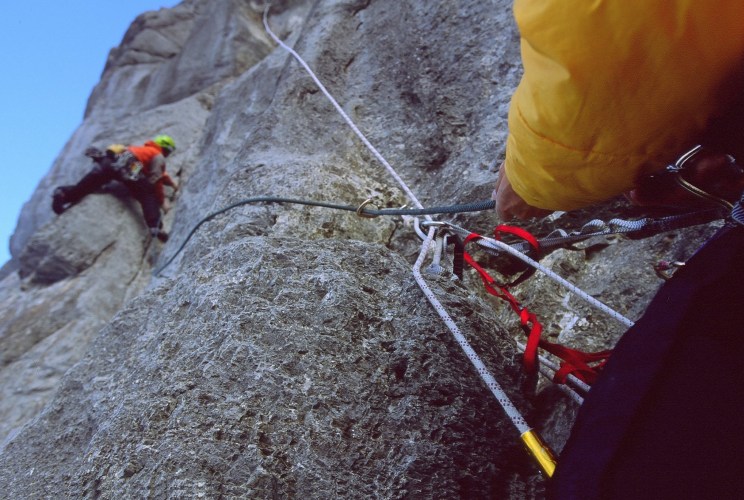 Photo: Stephan Siegrist - Young Spider